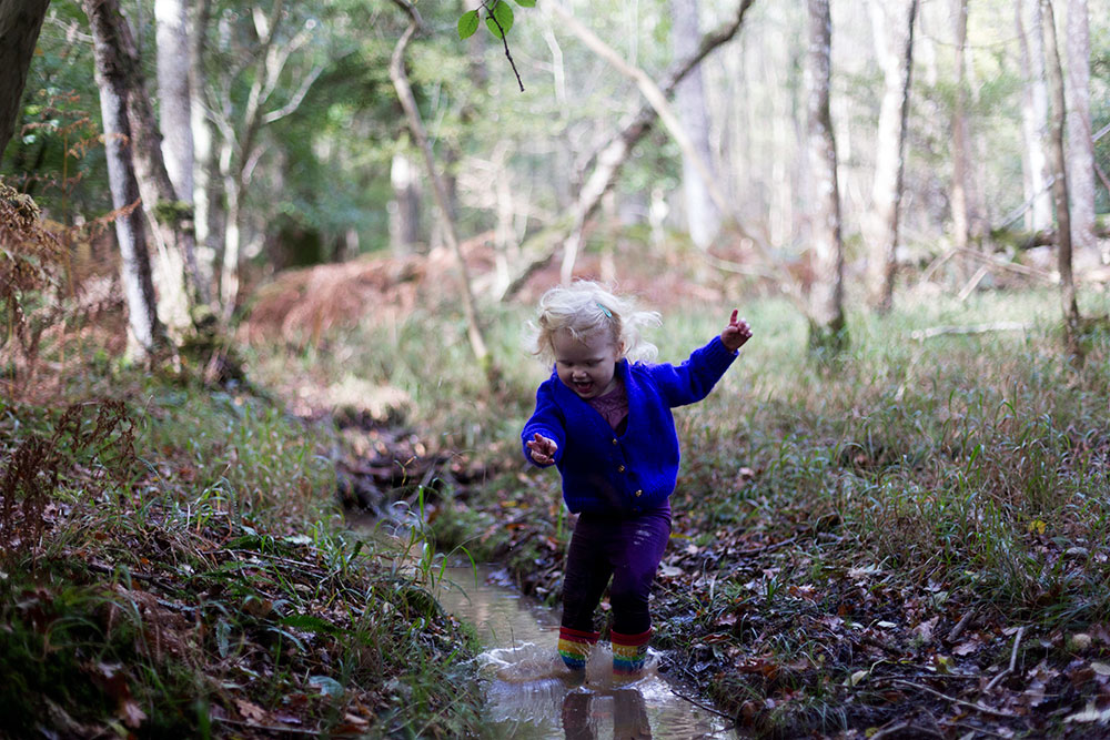 A little wander in Roydon Woods